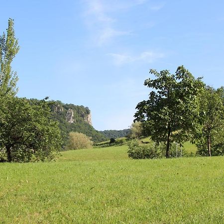 Domaine De Bellevue Gite Du Mont Poupet Marnoz ภายนอก รูปภาพ