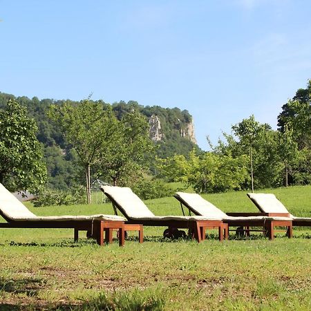 Domaine De Bellevue Gite Du Mont Poupet Marnoz ภายนอก รูปภาพ